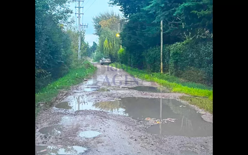 La Plata: vecinos de San Carlos denuncian abandono y calles intransitables | VIDEO