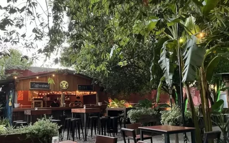 Descontrol en Berisso: saquean dos veces un restaurante y venden el bot&iacute;n a plena luz del d&iacute;a