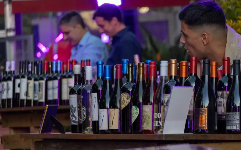 Uvas Lab Sunset: 25 bodegas copan la Estancia La Mar&iacute;a In&eacute;s este s&aacute;bado