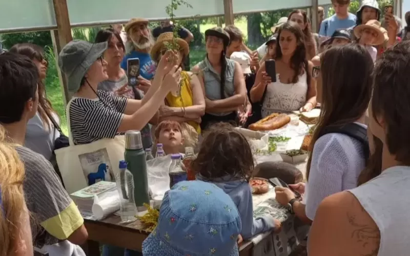 Se viene otro taller de plantas silvestres comestibles en el Parque Ecol&oacute;gico Municipal